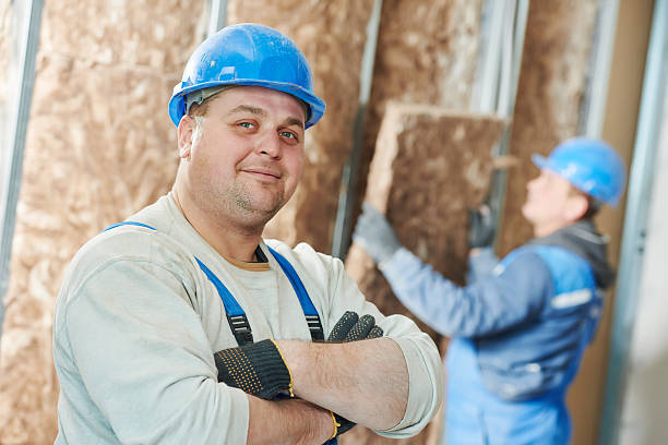Best Insulation Repair Services  in Glyndon, MN